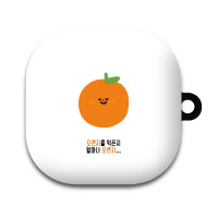 PUN FOOD 03 갤럭시 버즈라이브 버즈프로 버즈2